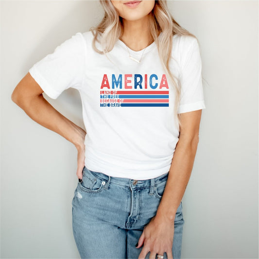 America retro - DTF Transfer - PrintPony