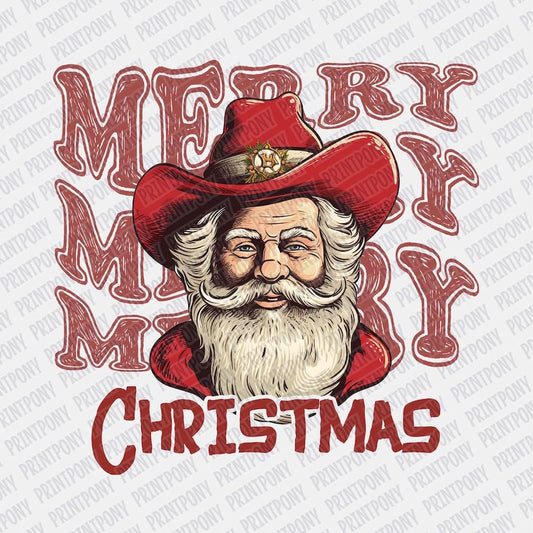 Merry, Merry, Christmas DTF transfer - Print Pony‚Ñ¢