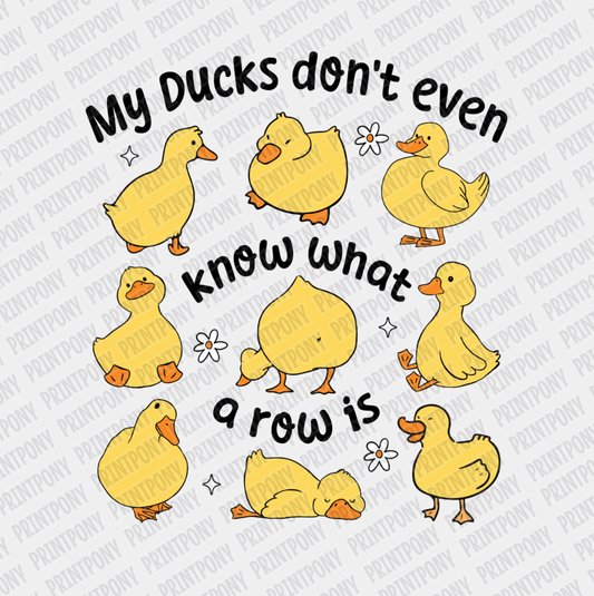 My Ducks don't even Know What a Row Is - DTF Transfer - PrintPony