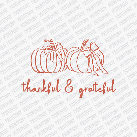 Thankful and Grateful (orange) DTF Transfer - PrintPony™
