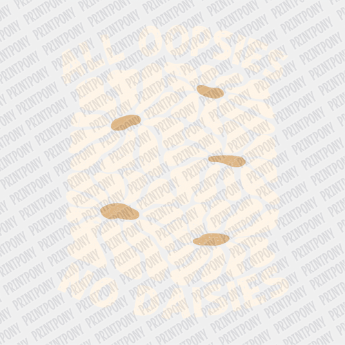 All Oopsies, No Daisies - DTF Transfer - PrintPony