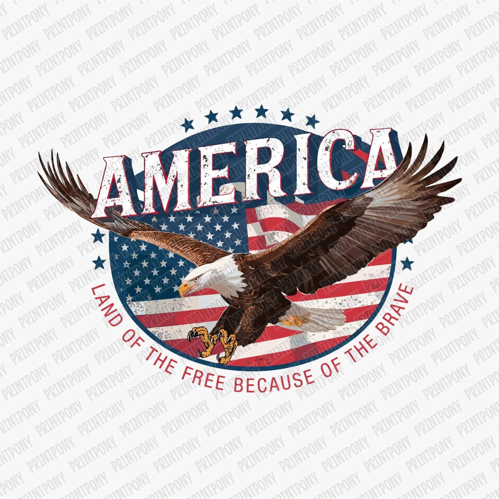America, Land of the Free, Because of the Brave Patriotic DTF transfer - PrintPony