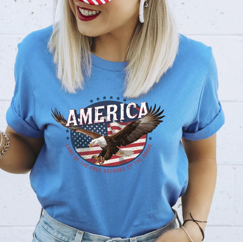 America, Land of the Free, Because of the Brave Patriotic DTF transfer - PrintPony