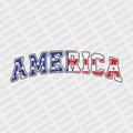 America Patriotic DTF transfer - PrintPony