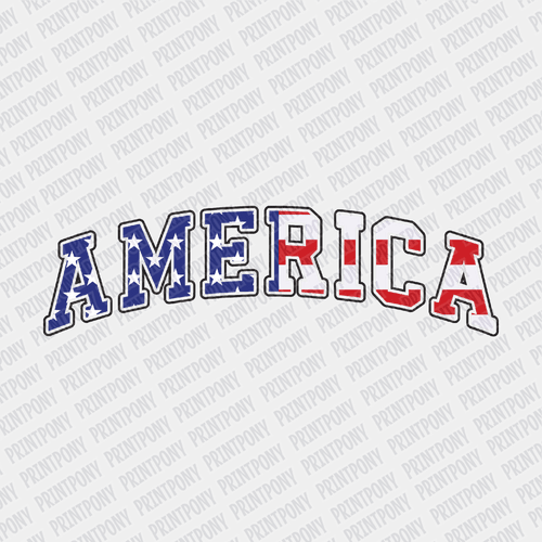 America Patriotic DTF transfer - PrintPony