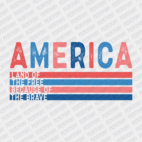 America retro - DTF Transfer - PrintPony