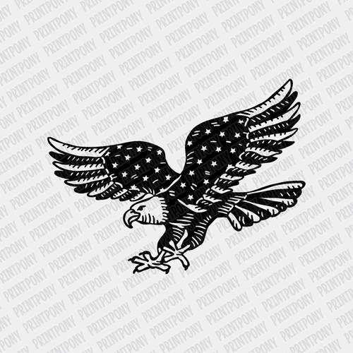 American Eagle - DTF transfer - PrintPony
