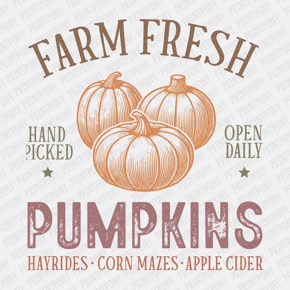 Farm Fresh Pumpkins - PrintPony