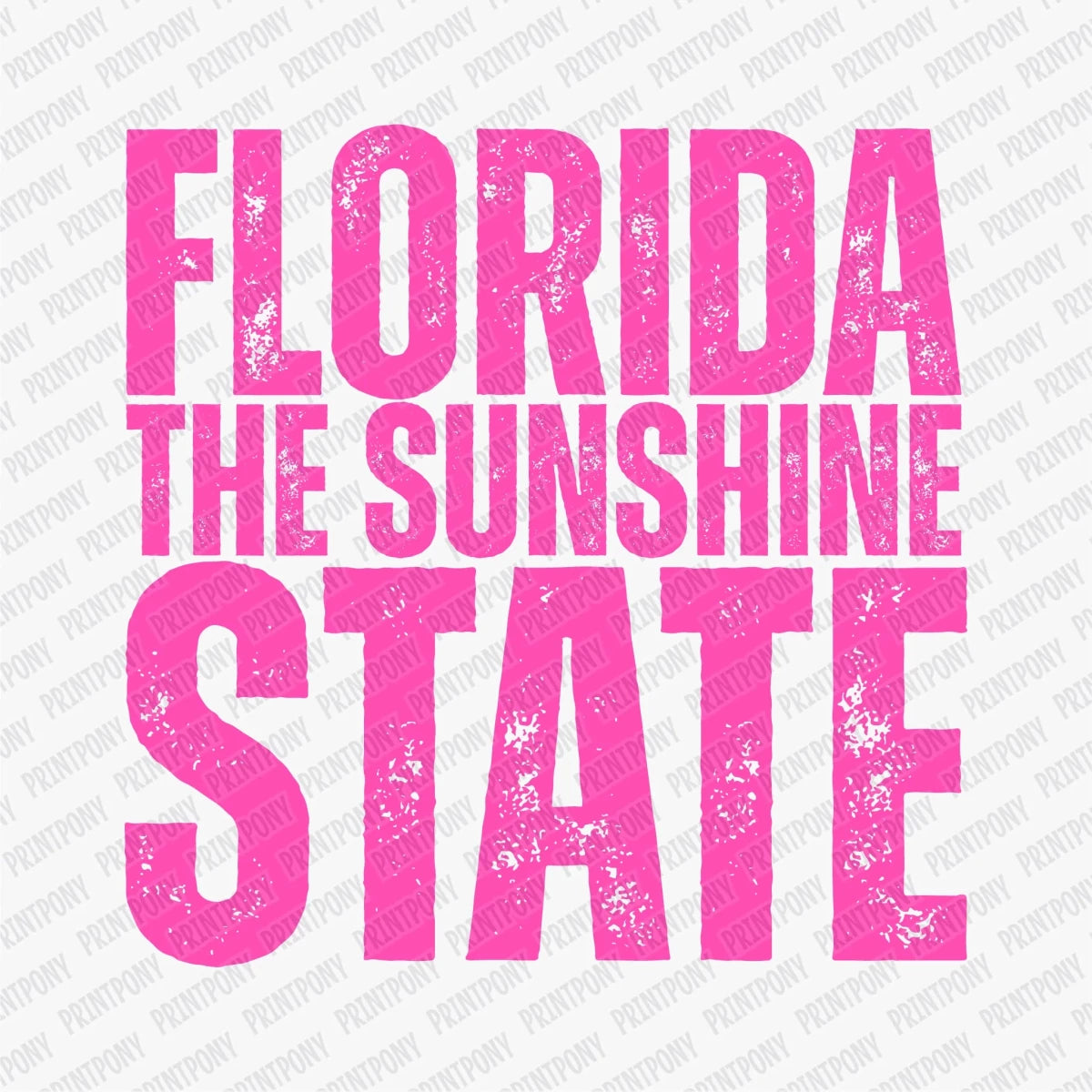 Florida, The Sunshine State Neon DTF Transfer - PrintPony