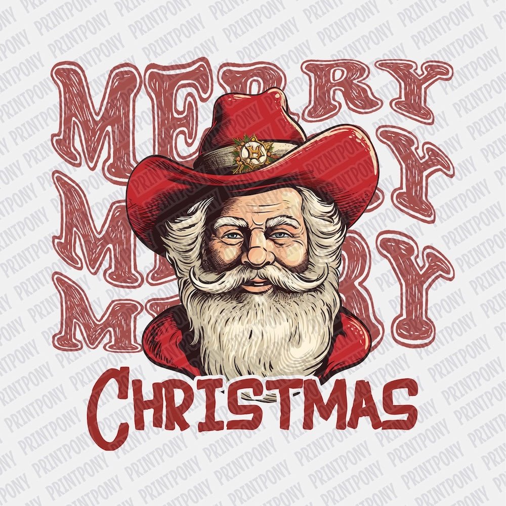 Merry, Merry, Christmas DTF transfer - Print Pony‚Äö√ë¬¢