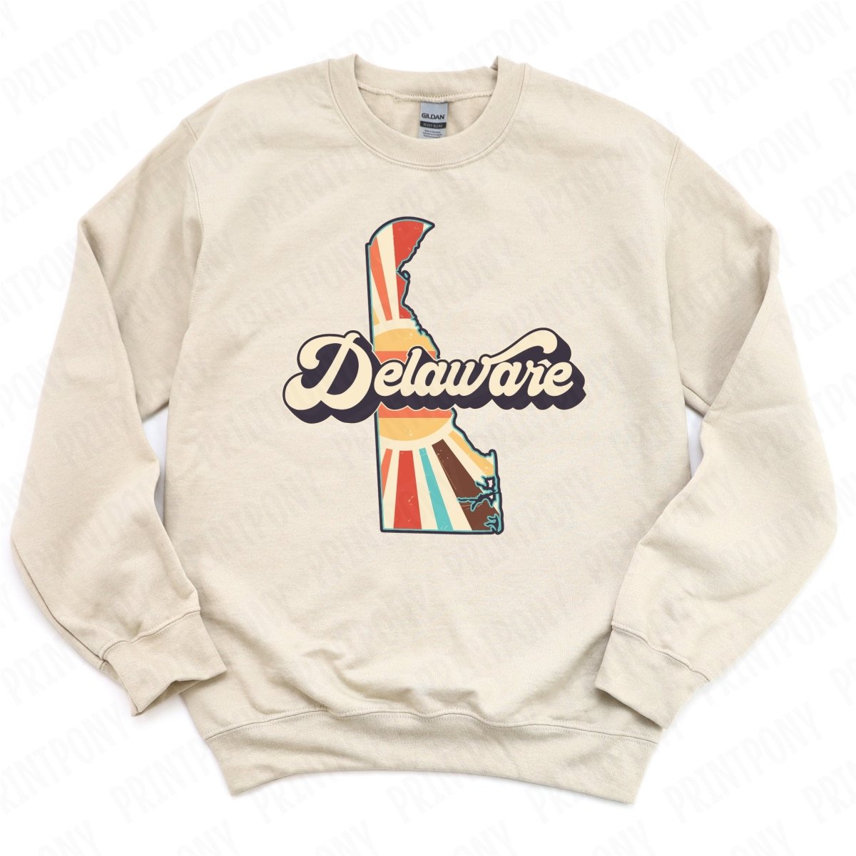 Retro Delaware State DTF Transfer - Ready to Press - PrintPony