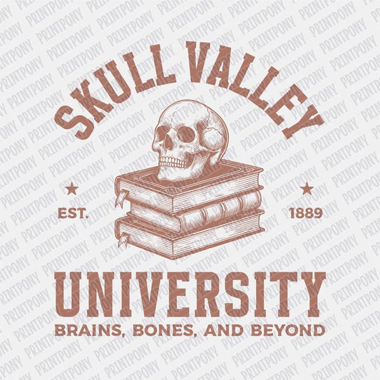 Skull Valley University DTF transfer - PrintPony