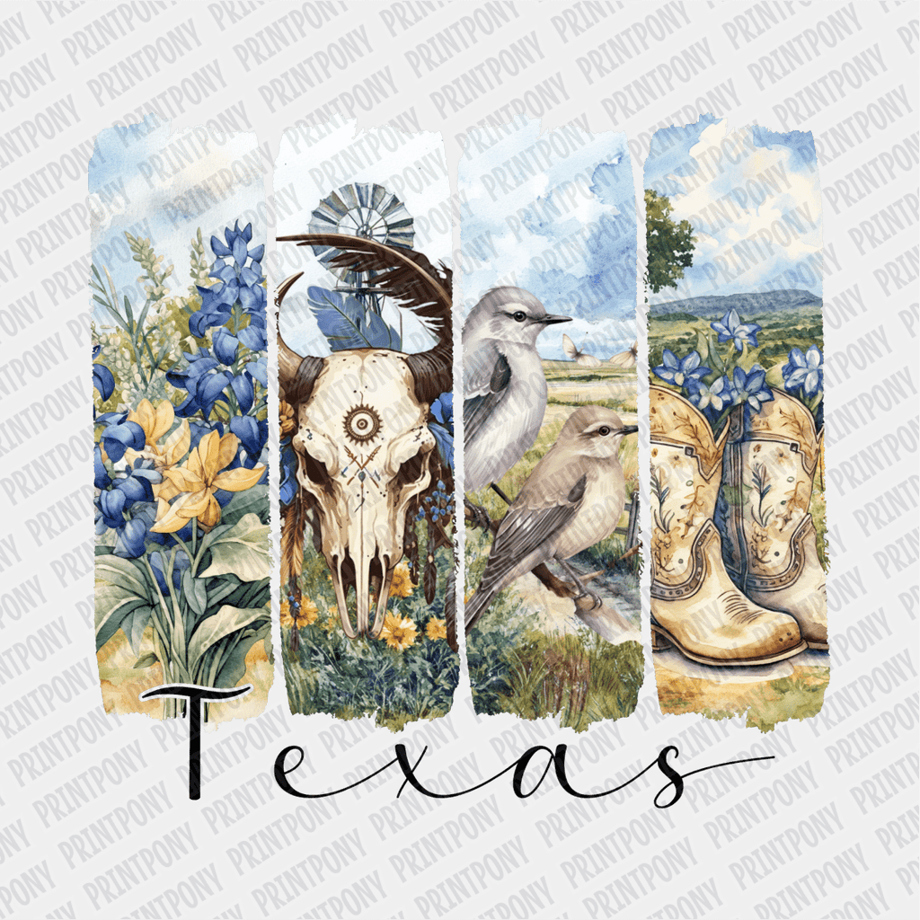 Texas Brushstroke DTF Transfer - PrintPony