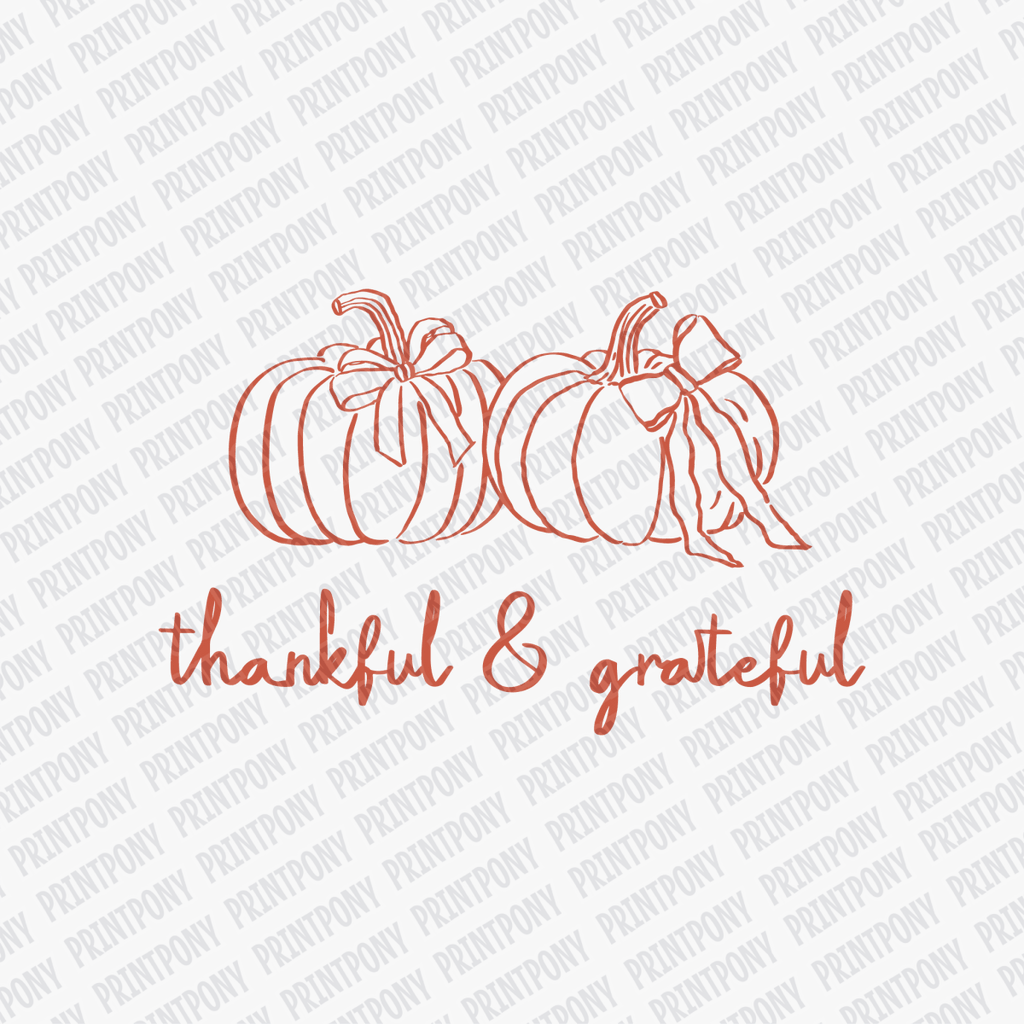 Thankful and Grateful (orange) DTF Transfer - PrintPony™