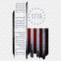 We the People Patriotic DTF Transfer - PrintPony