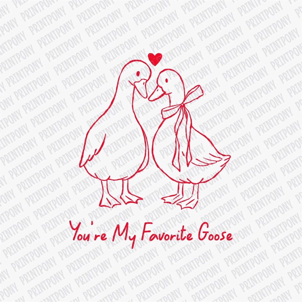 You're My Favorite Goose | Valentine's Day DTF Transfer - PrintPony